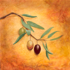 Compaq's Italian Campaign Olive Branch • Casein on Board